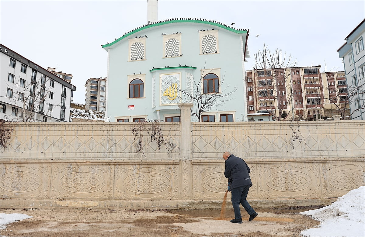 Bayburt'ta yaşayan Ahmet Özbek, yazın 50 dönümlük arazisinden hasat ettiği hububatın tamamını...