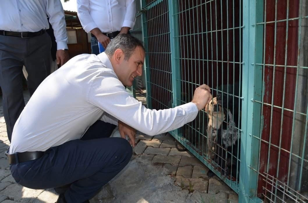 BAYINDIR’DA SAHİPSİZ HAYVANLARA YÖNELİK YÜRÜTÜLEN ÇALIŞMALAR KAPSAMINDA HAYVAN BAKIM EVİ VE...