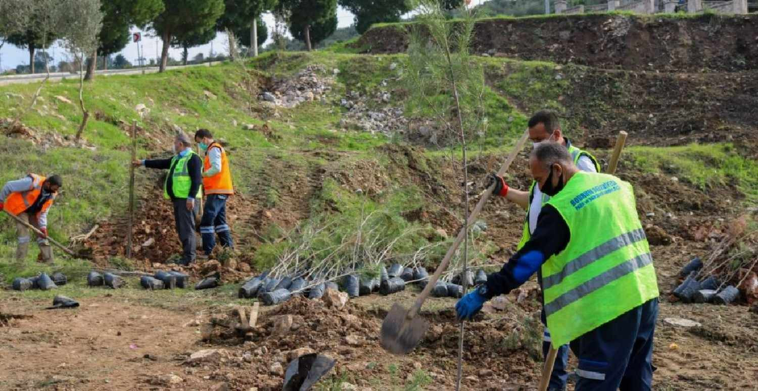 Belediye Başkanının Görevleri