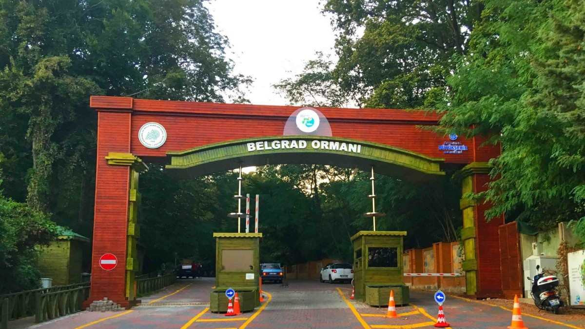 belgrad ormanı