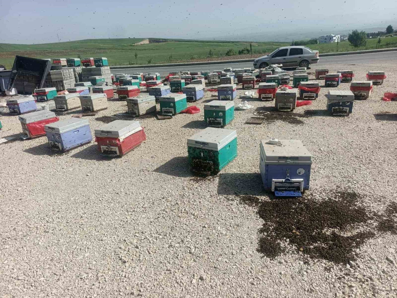 BEŞİRİ İLÇESİNDE ARACIN ARIZALANMASIYLA KOVANLARIN BİR KISMININ YERE DÜŞMESİ SONUCU BİNLERCE ARI...