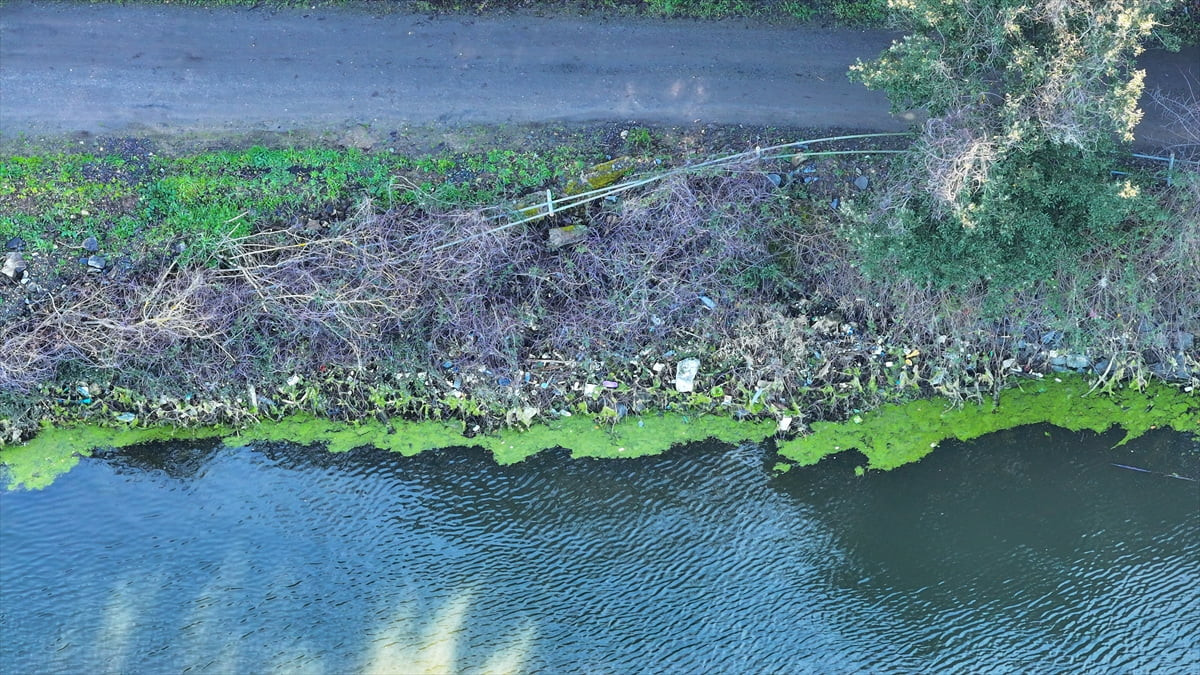 Beykoz'da bulunan Elmalı Barajı'nın kıyısında biriken atıklar, çevreyi kirletti. Fatih...