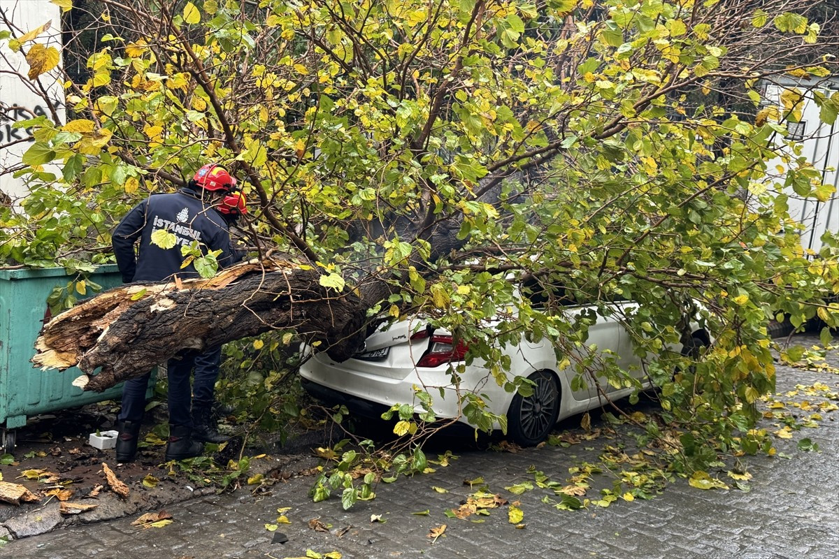Beyoğlu'nda park halindeki otomobilin üzerine devrilen ağaç, itfaiye ekiplerince kaldırıldı.