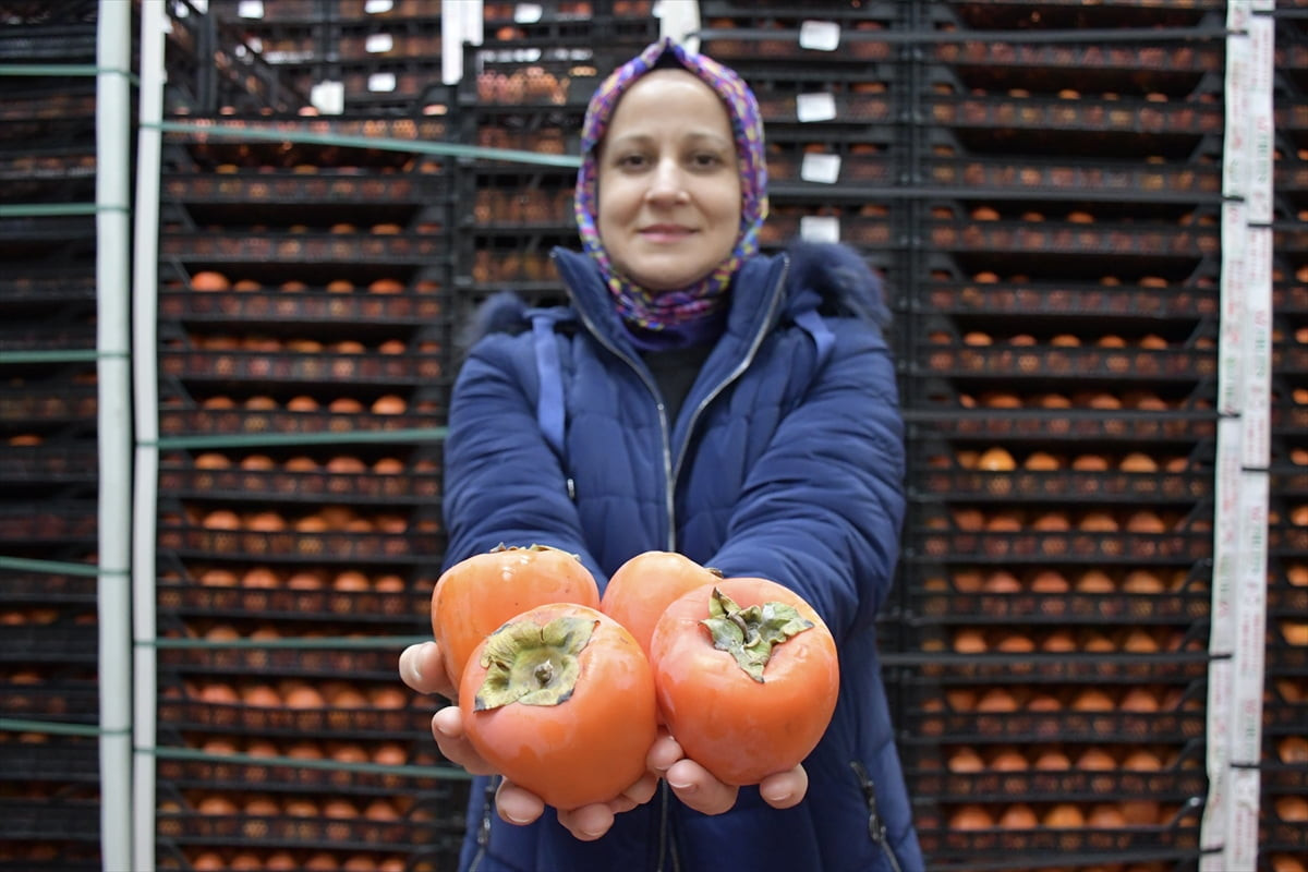 Bilecik'in Osmaneli ilçesine bağlı Çerkeşli köyünde yaşayan Zeynep Genç, Tarım ve Kırsal...