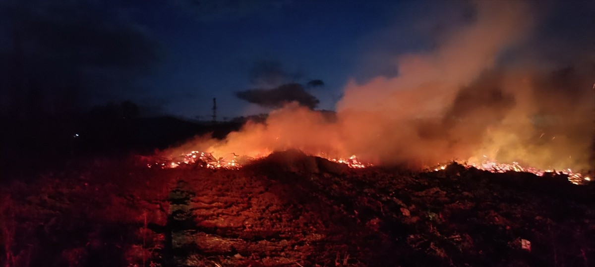 Bilecik'in Pazaryeri ilçesinde bir çiftliğe ait arazide çıkan yangın söndürüldü.