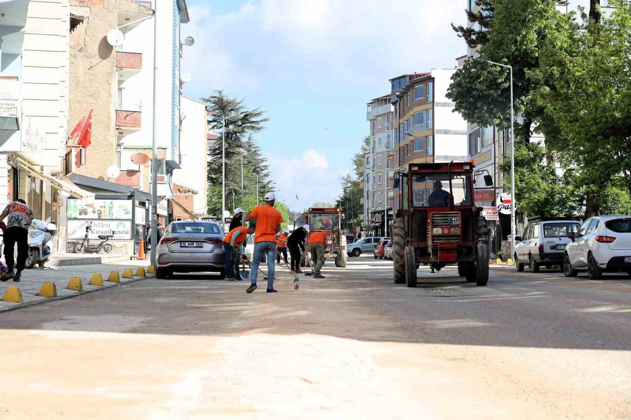 BİLECİK'İN SÖĞÜT İLÇESİNDE ÇİM BİÇME VE İLAÇLAMA ÇALIŞMALARI HIZ KAZANDI.