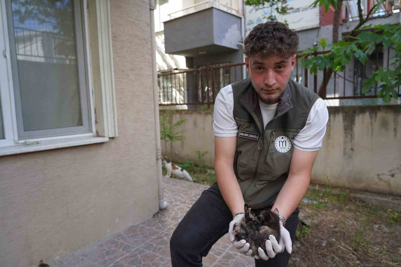 BİLECİK'TE BELEDİYE EKİPLERİ CADDE ÜZERİNDEKİ MAZGALA SIKIŞAN KEDİ YAVRULARINI KURTARDI.