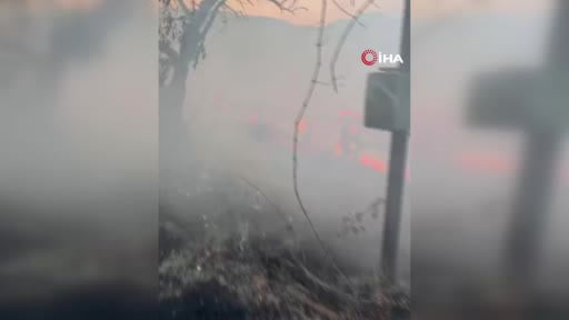 Bilecik'te bir ahır çıkan yangında kül oldu