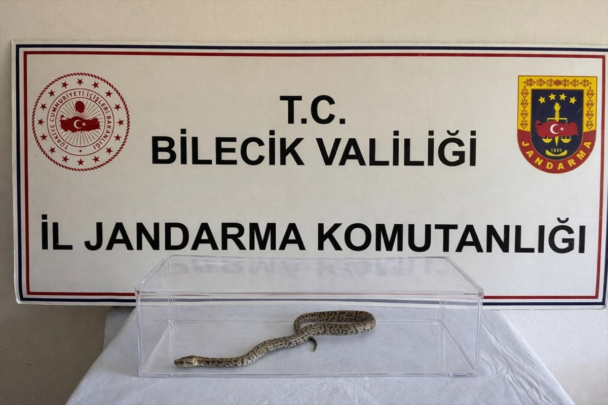 Bilecik'te düzenlenen hayvan kaçakçılığı operasyonunda, nesli tükenme tehlikesi altında bulunan...