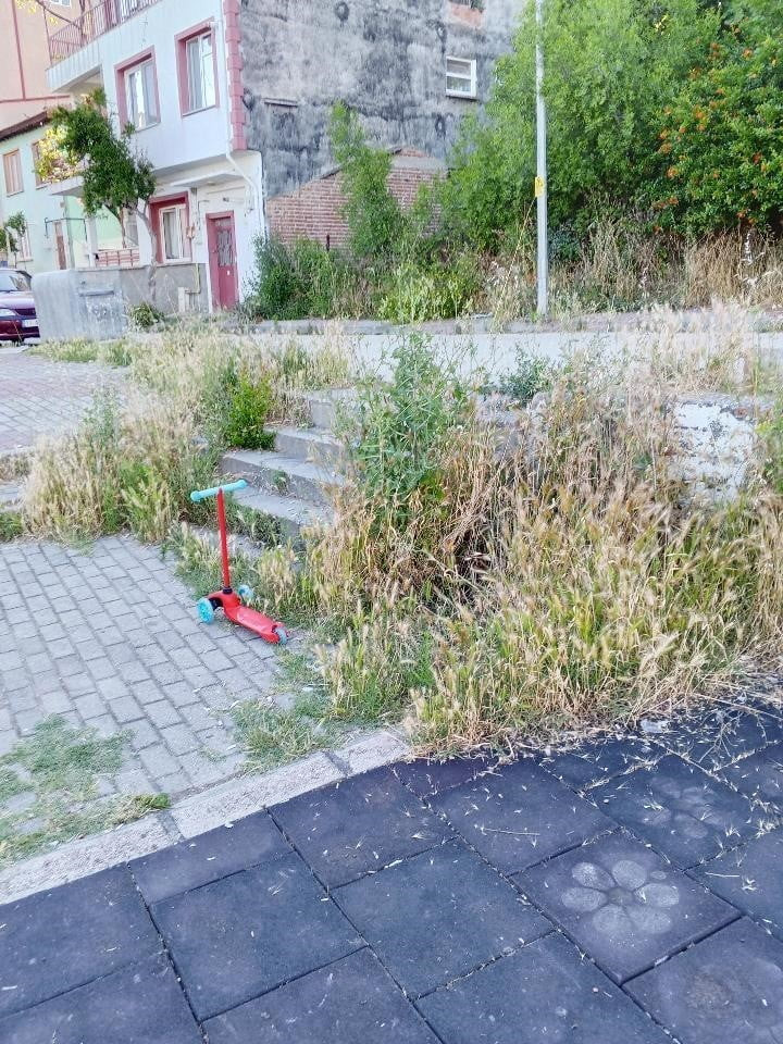 BİLECİK'TE PARKLAR OTLUK ALANA DÖNERKEN, VATANDAŞLAR İSYAN ETTİ