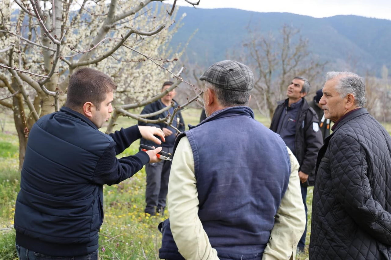 BİLECİK'TE ÜRETİCİLERE GÜBRELEME VE BUDAMA KURSU
