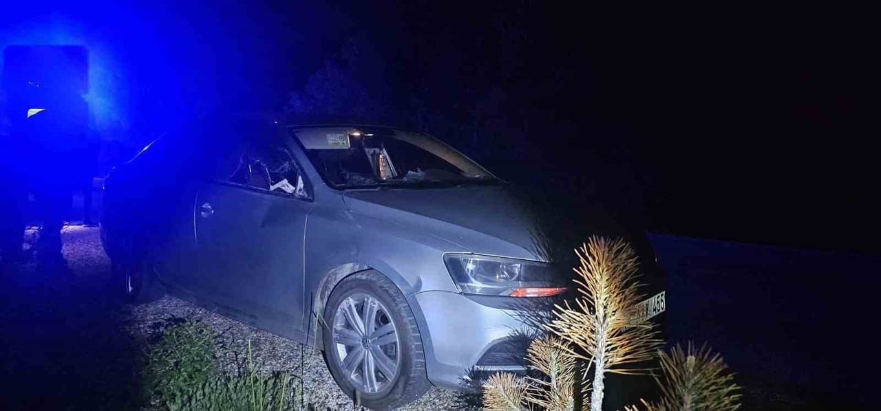 BİLECİK’İN BOZÜYÜK İLÇESİNDE GEYİĞİN SEYİR HALİNDEKİ OTOMOBİLE ÇARPMASI SONUCU MEYDANA GELEN...