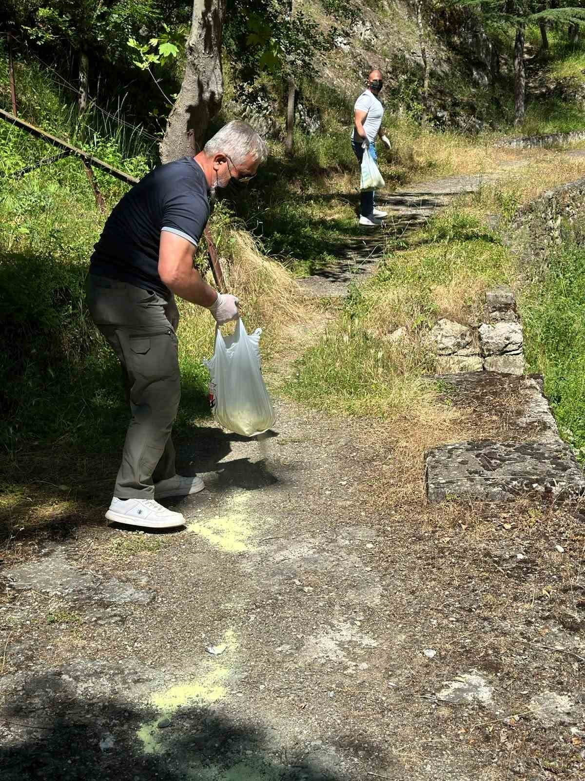 BİLECİK’TE PİKNİK ALANLARINDA İLAÇLAMA ÇALIŞMASI GERÇEKLEŞTİRİLDİ