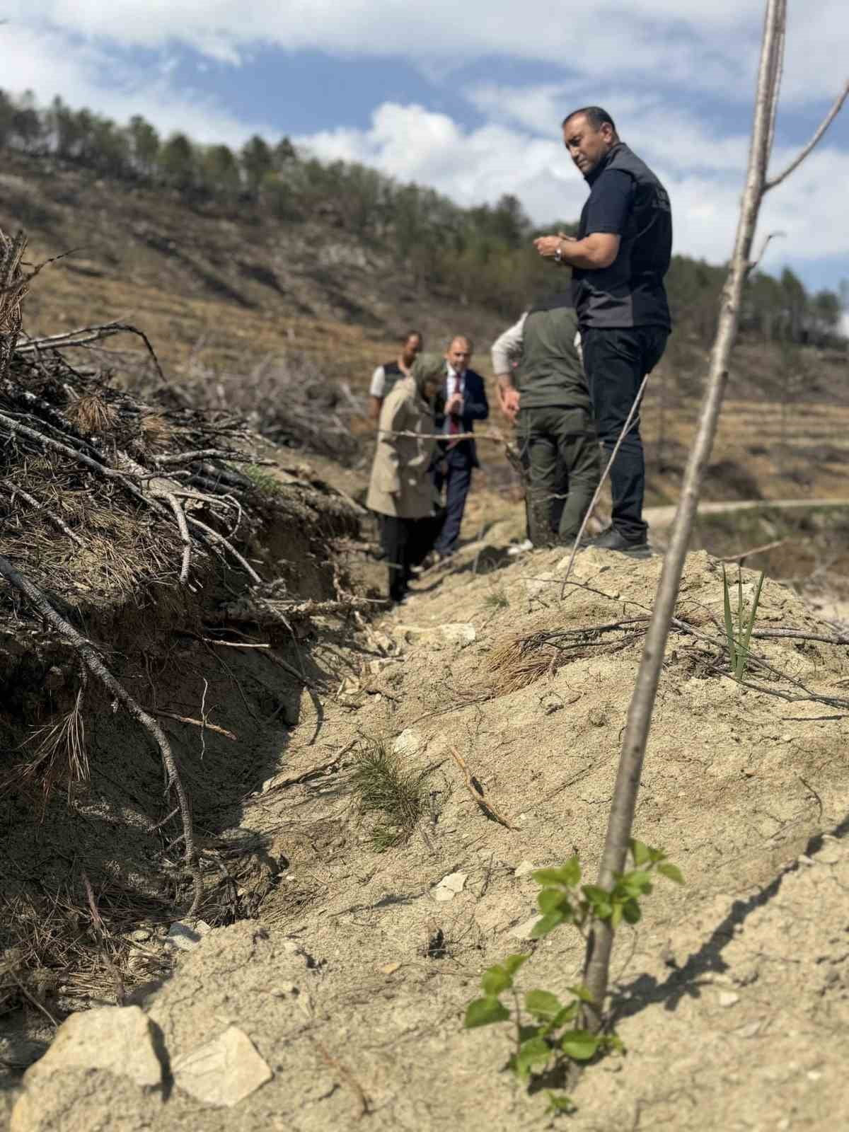 BİLECİK’TE YANGIN SAHALARINDA AĞAÇLANDIRMA ÇALIŞMALARI İNCELENDİ