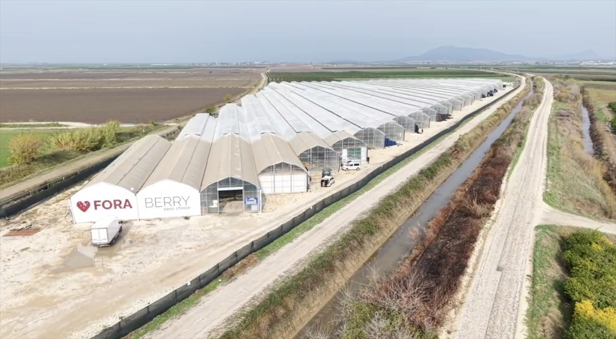 Bilgi iletişim teknolojileri ve savunma sanayi alanında faaliyet gösteren Forte Bilgi İletişim...