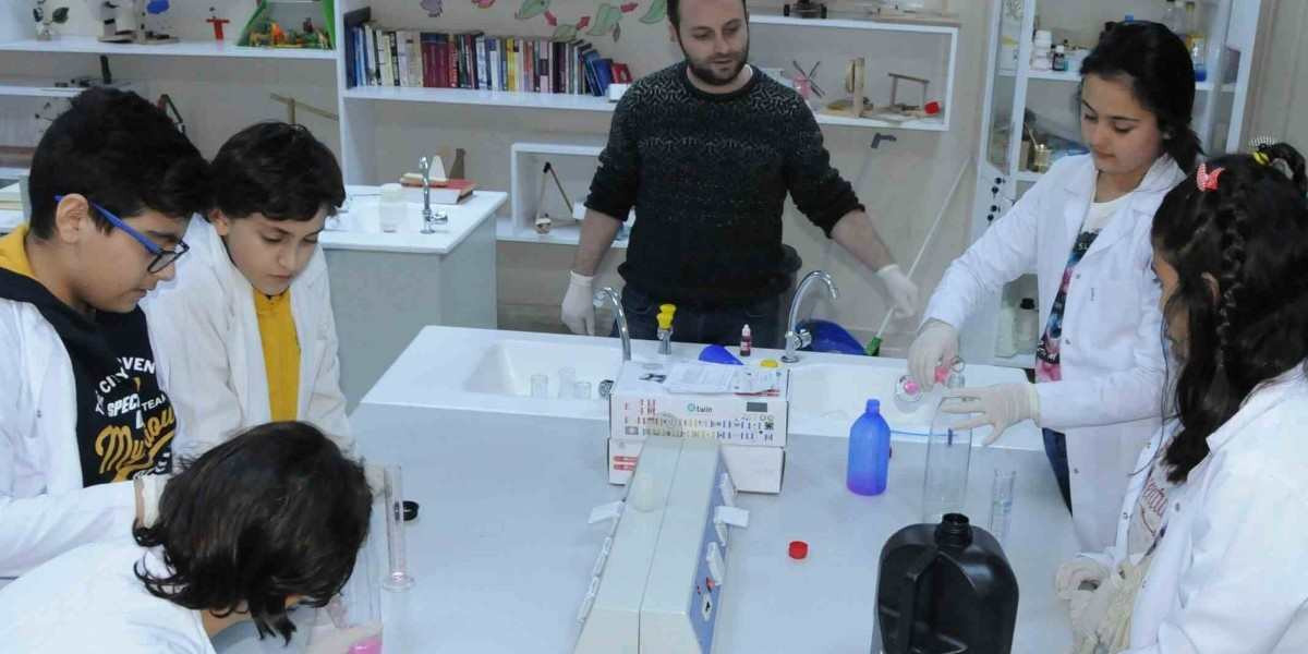 BİLSEM Zeka Testi Soruları