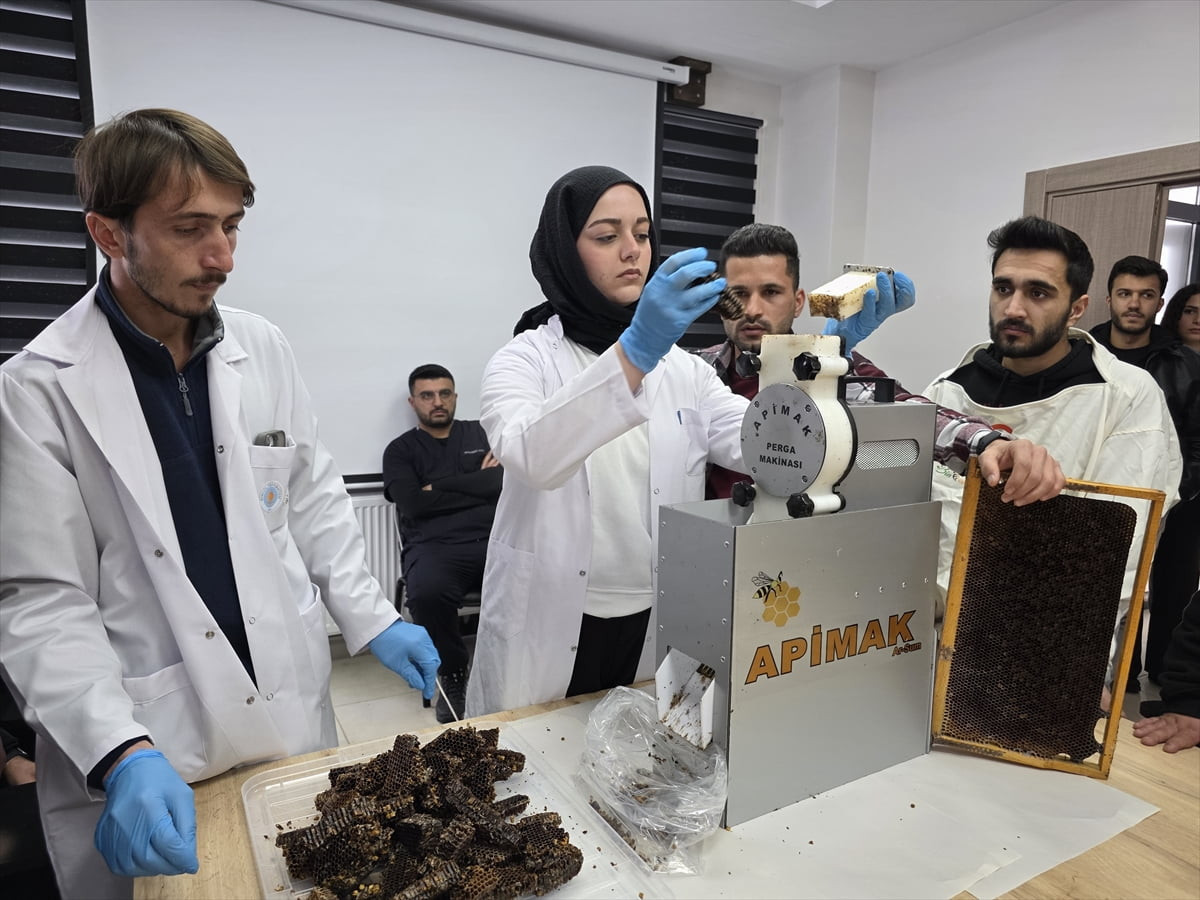 Bingöl Üniversitesinde 644 öğrenci, Türkiye İş Kurumu (İŞKUR) tarafından yürütülen Gençlik...