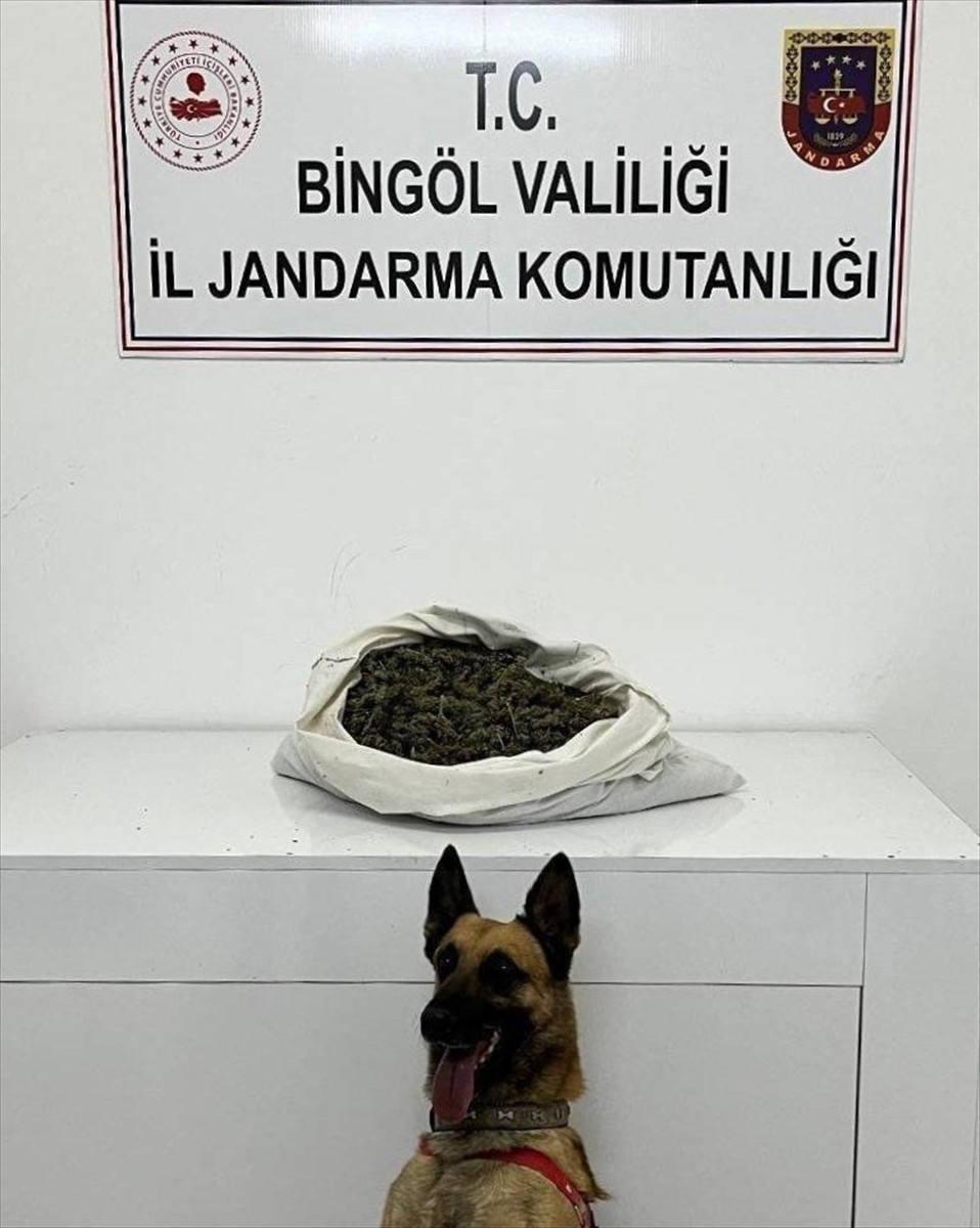 Bingöl'de düzenlenen uyuşturucu operasyonunda yakalanan şüpheli tutuklandı. Yapılan aramada 2 kilo...