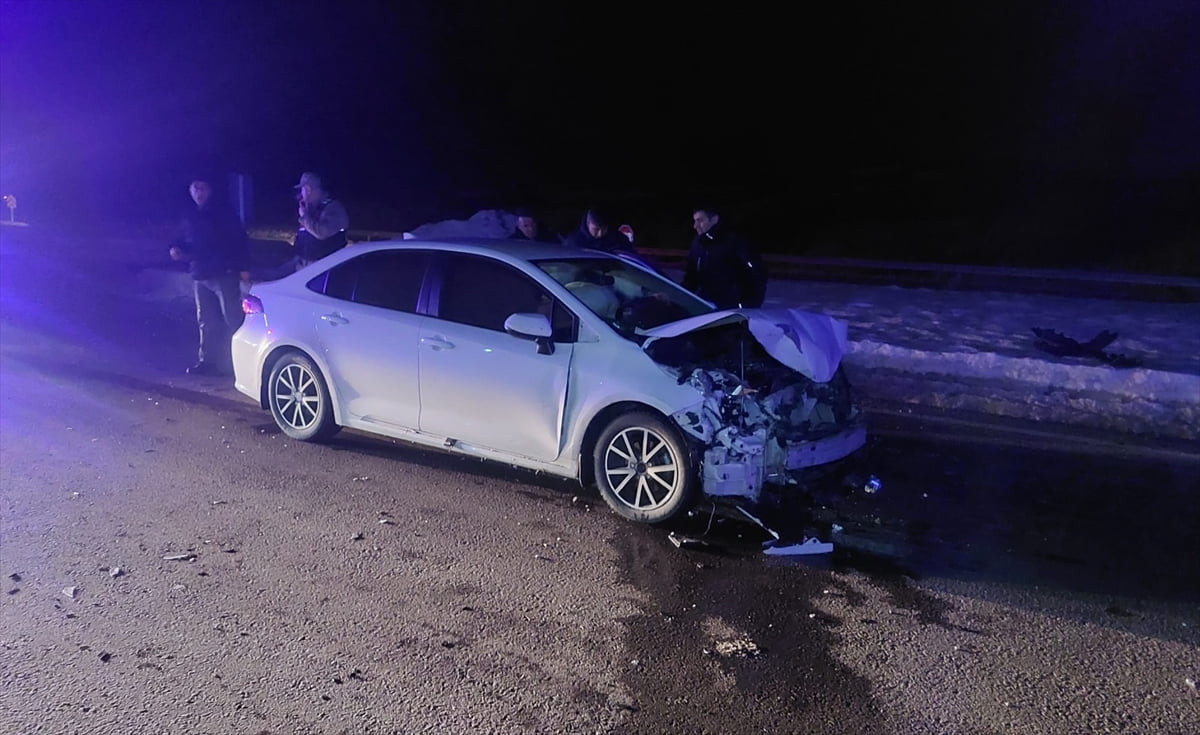 Bingöl'de otomobilin domuz sürüsüne çarpması sonucu 3 kişi yaralandı.