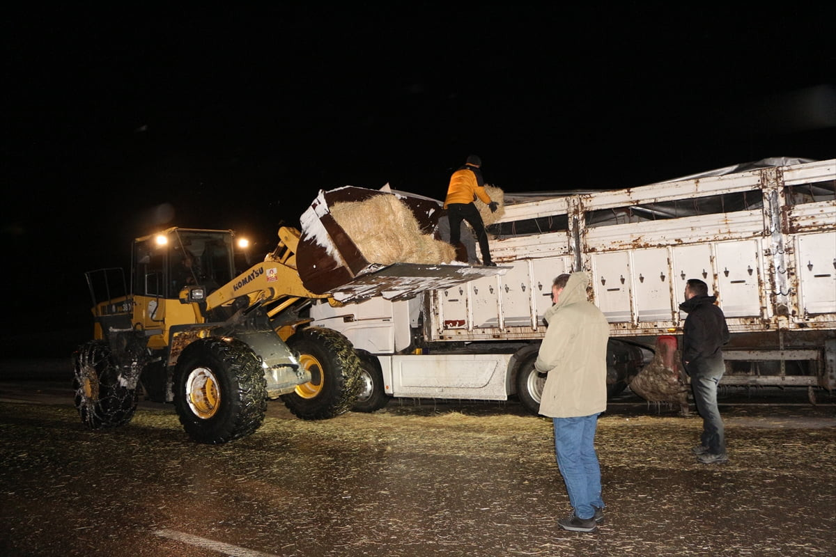Bingöl'ün Karlıova ilçesinde kar ve tipi nedeniyle arızalanan tırda bulunan büyükbaş hayvanlara...