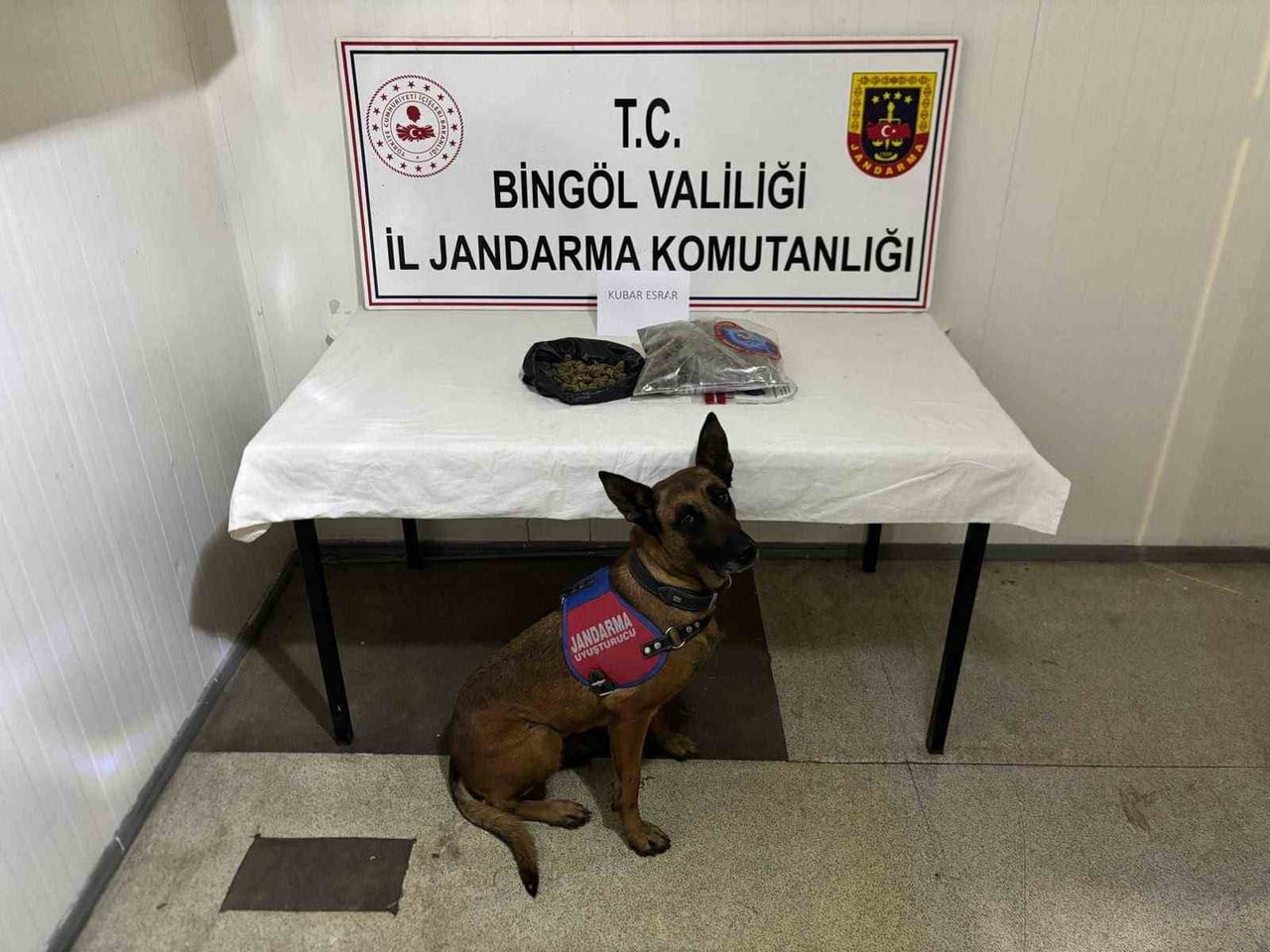 BİNGÖL’DE JANDARMA OPERASYONLARI: 4 TUTUKLAMA