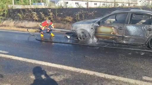 Bingöl’de otomobil alevlere teslim oldu