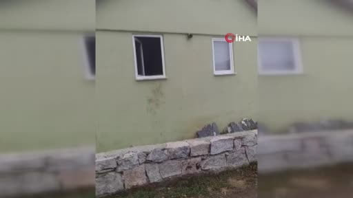 Bir günde 20 eve giren ayı yayla sakinlerini canından bezdirdi