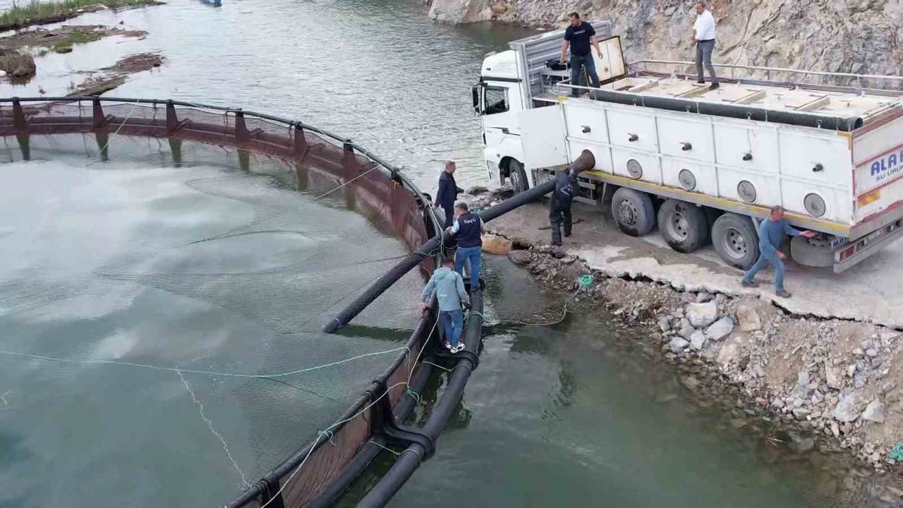 BİRÇOK ÜLKEYE İHRAÇ EDİLEN ‘TÜRK SOMONU’ YETİŞTİRMEK İÇİN ADIYAMAN’IN ÇELİKHAN İLÇESİNDEKİ ÇAT...