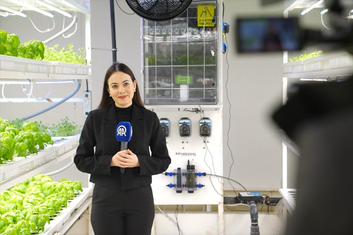 Birleşmiş Milletler Gıda ve Tarım Örgütü (FAO) Genel Balıkçılık Komisyonu (GFCM) tarafından, 11...