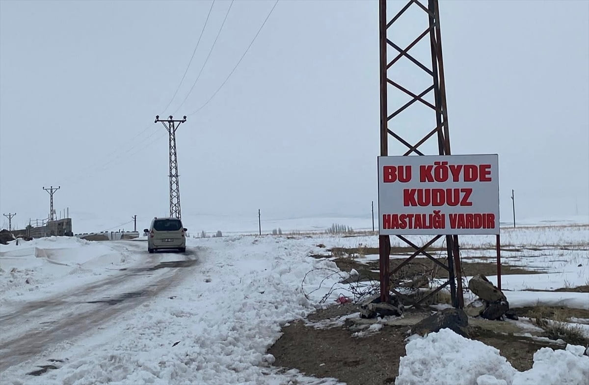 Bitlis'in Adilcevaz ilçesinde bir köy kuduz nedeniyle karantinaya alındı.