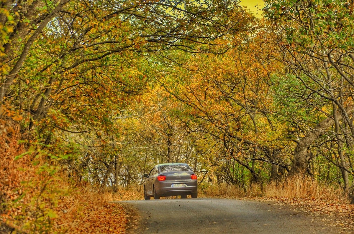 Bitlis'in Hizan ilçesinde sonbaharın gelmesiyle ormanlar hazan renklerine büründü.