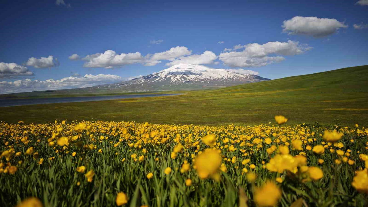 BİTLİS’İN AHLAT VE ADİLCEVAZ İLÇELERİ SINIRLARI İÇERİSİNDE YER ALAN SÜTEY YAYLASI, BAHARIN...