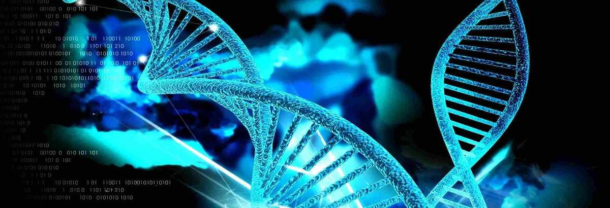 Biyosistem Mühendisliği taban puanları