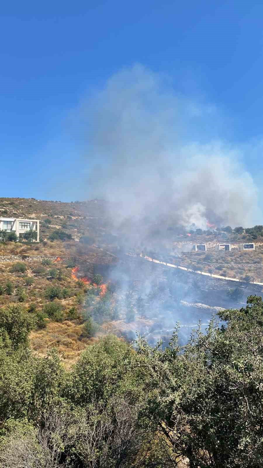 BODRUM’DA MAKİLİK YANGINI