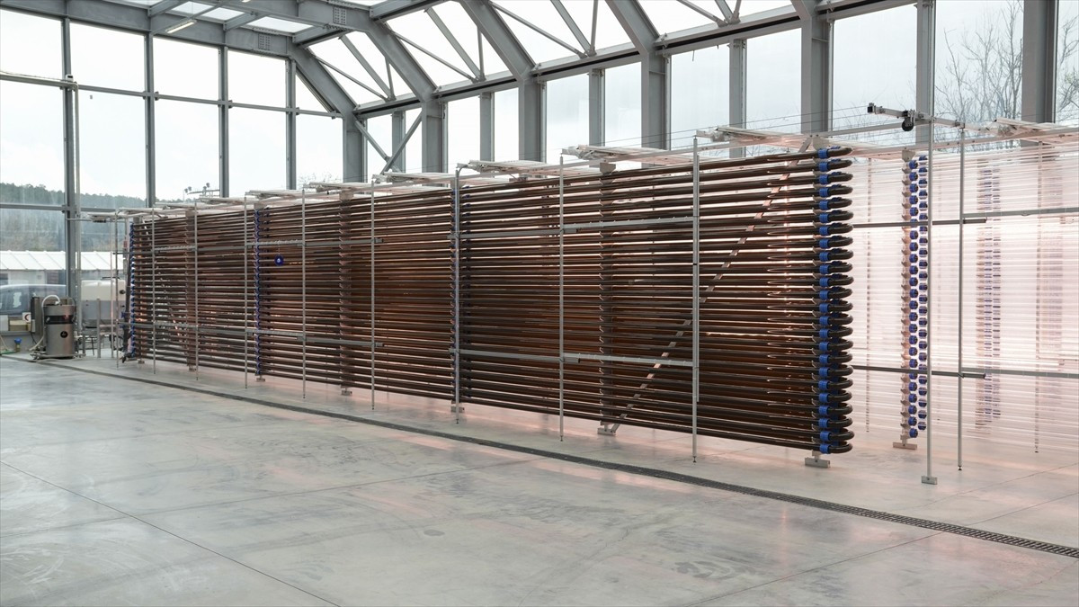 Boğaziçi Üniversitesi İstanbul Mikroyosun Biyoteknolojileri Araştırma ve Geliştirme Birimi...