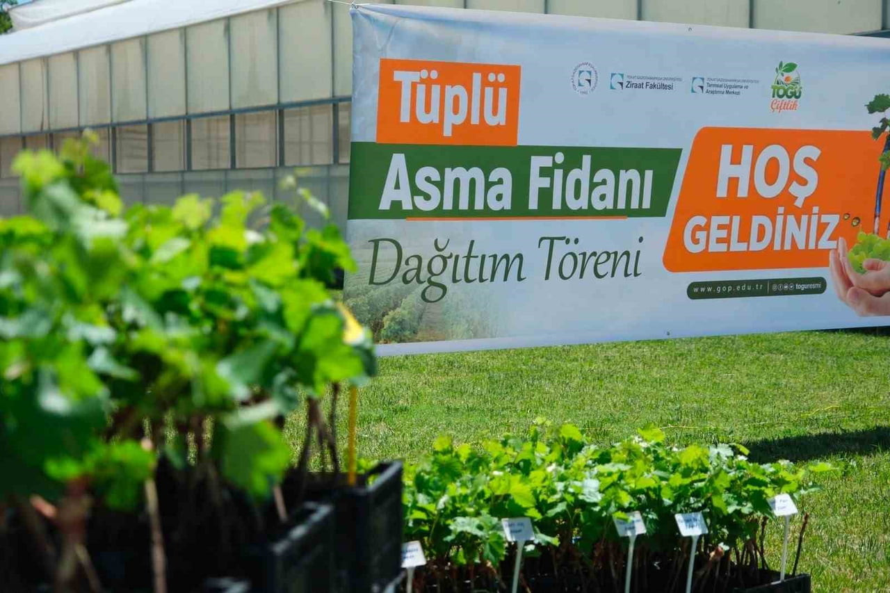 BÖLGE BAĞCILIĞINI GELİŞTİRMEK VE ÜRETİMİ DESTEKLEMEK AMACIYLA BİNLERCE ASMA FİDANI ÜRETİCİLERE...