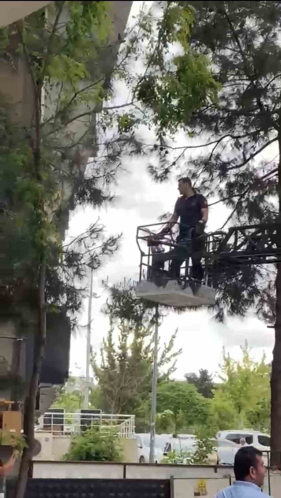 BÖLGEYE SEVK EDİLEN EKİPLER YANGIN MERDİVENİ YARDIMIYLA KEDİYİ MAHSUR KALDIĞI AĞAÇTAN...