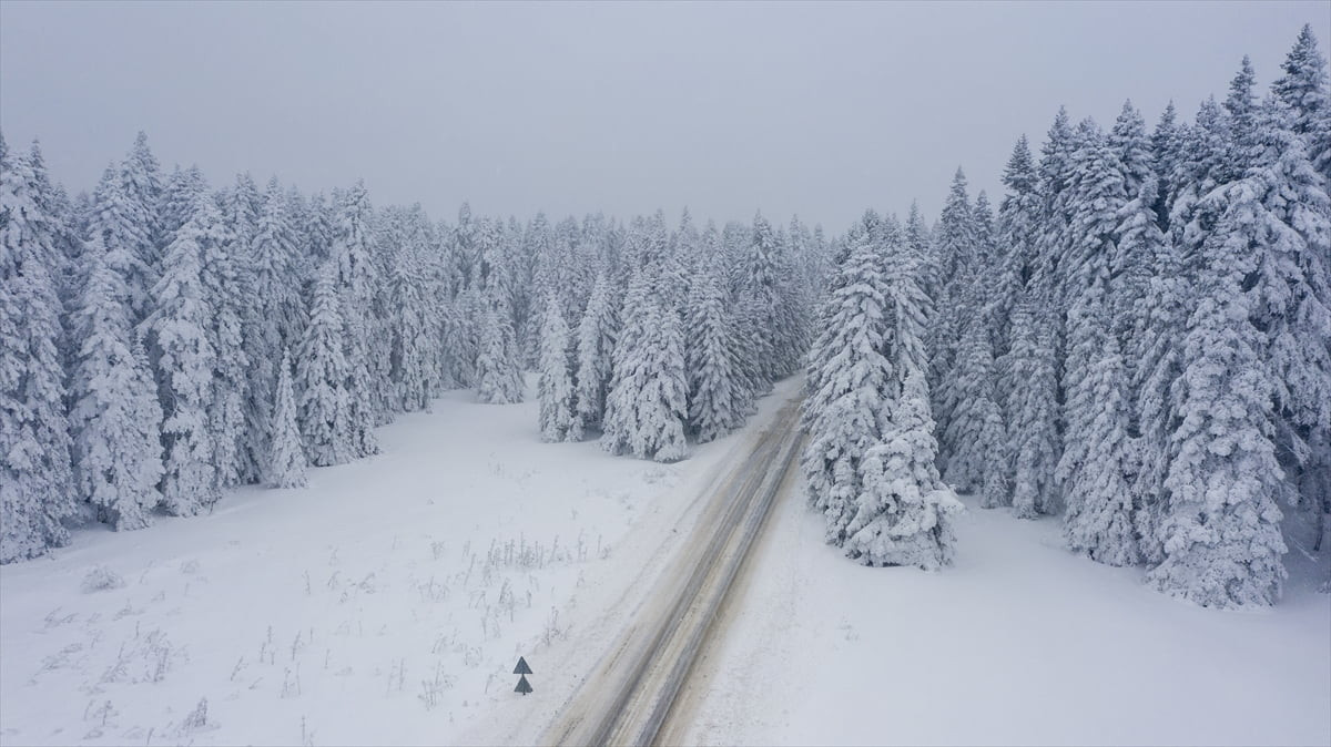Bolu'da kar yağışı ve soğuk hava etkisini sürdürüyor. Aladağ bölgesinde etkili olan kar yağışı ile...