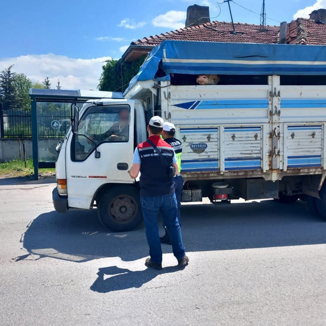 BOLU'DA KURBANLIK NAKİL ARAÇLARI KONTROL EDİLDİ