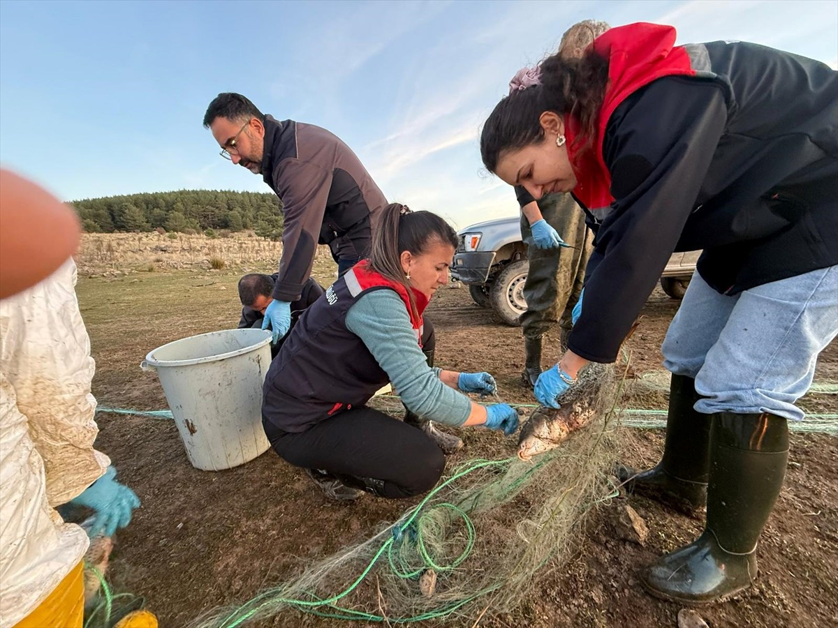 Bolu'da Seben Taşlıyayla Göleti'ne kaçak avcıların bıraktığı 5 bin metre uzunluğundaki ağdaki 500...
