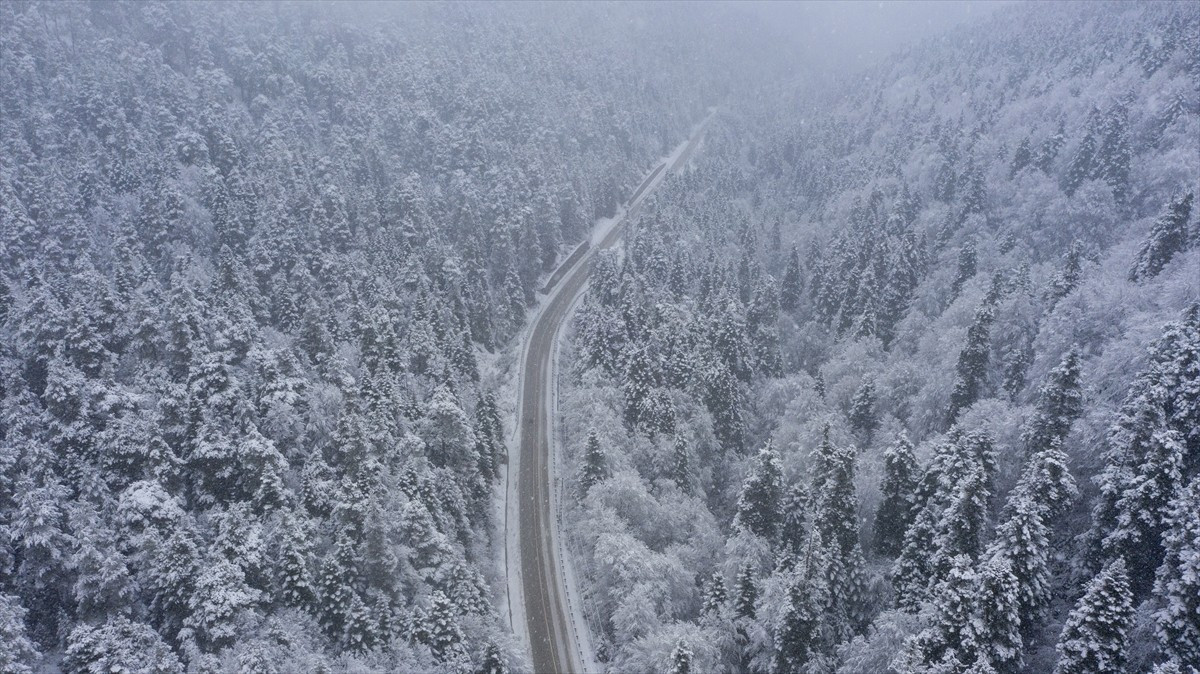 Bolu'daki Abant Gölü Milli Parkı'nda gece başlayan kar yağışı devam ediyor. Yağışın ardından...