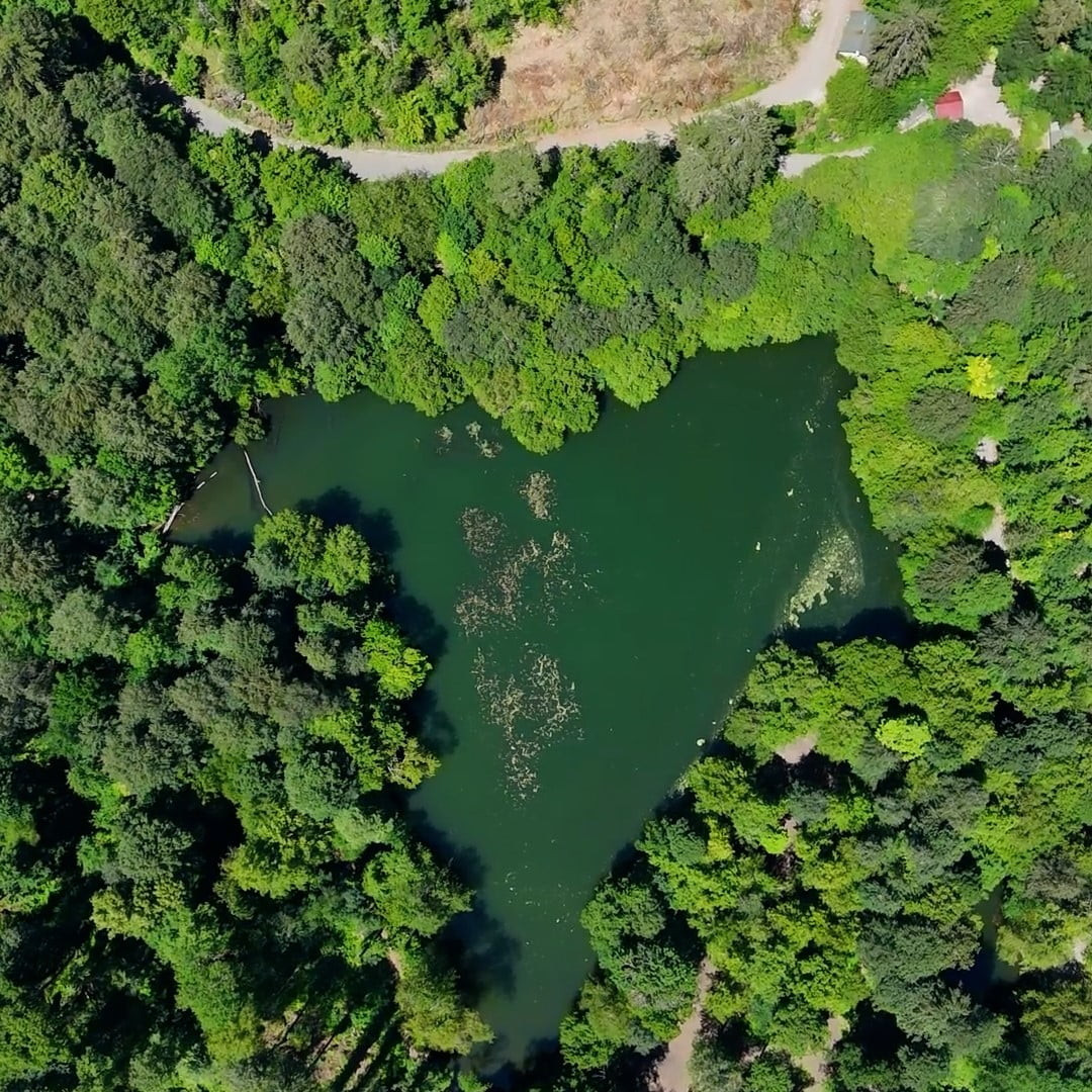 BOLU'NUN DÜNYACA ÜNLÜ DOĞA HARİKASI YEDİGÖLLER MİLLİ PARKI, ORMAN VE GÖLLERİN KUSURSUZ...