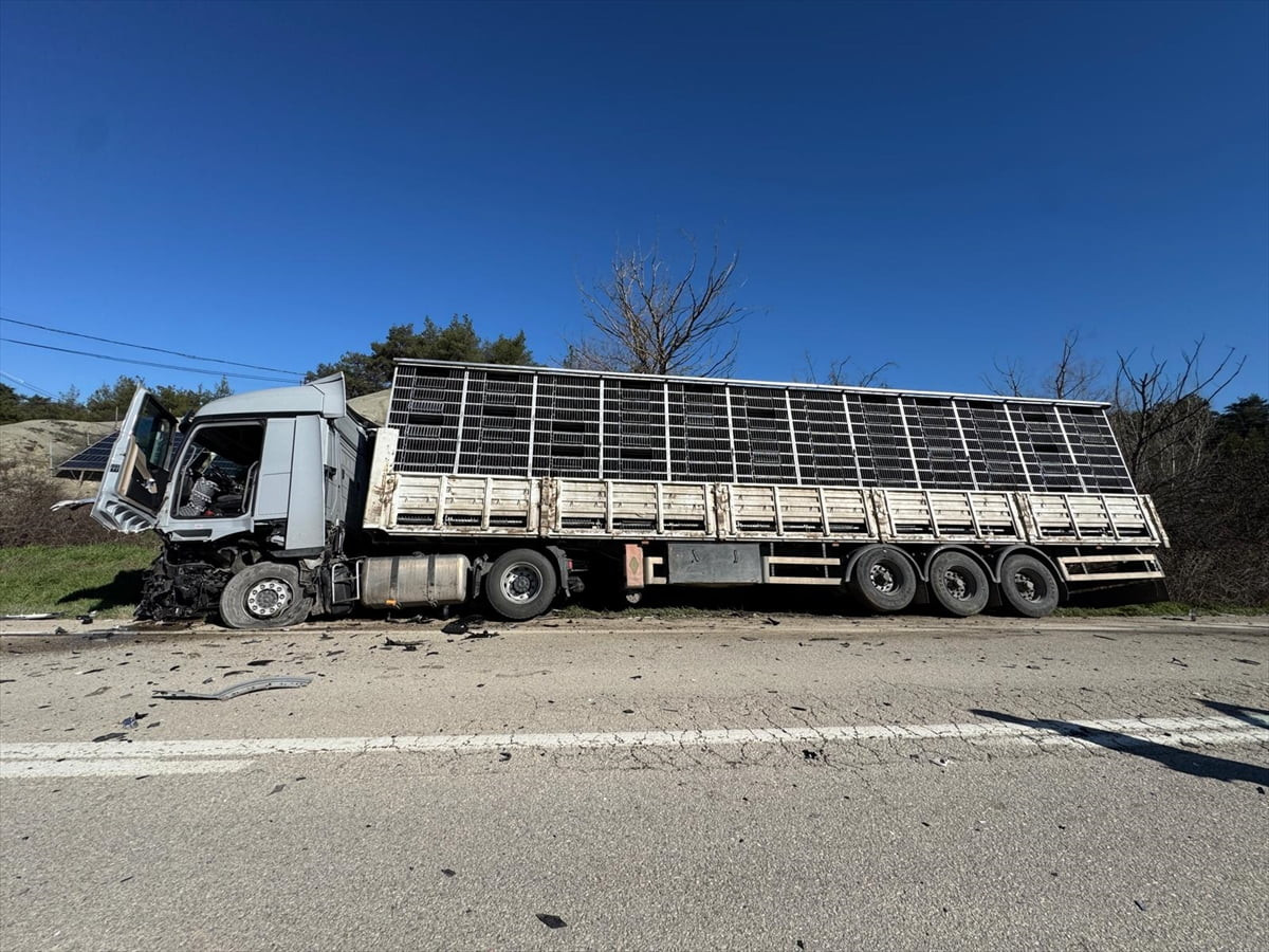 Bolu'nun Göynük ilçesinde tırla çarpışan otomobilin sürücüsü yaşamını yitirdi.