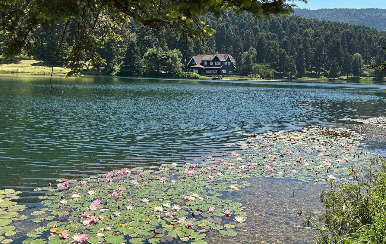 BOLU’NUN DOĞA HARİKALARI GÖLCÜK TABİAT PARKI VE ABANT GÖLÜ MİLLİ PARKI'NDA AÇARAK SULARI...