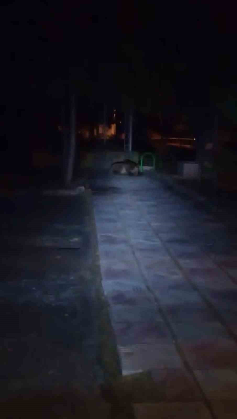 BOLU’NUN KIBRISCIK İLÇESİNDE GECE SAATLERİNDE ÇOCUK PARKINA GİREN AYI, CEP TELEFONU KAMERASIYLA...