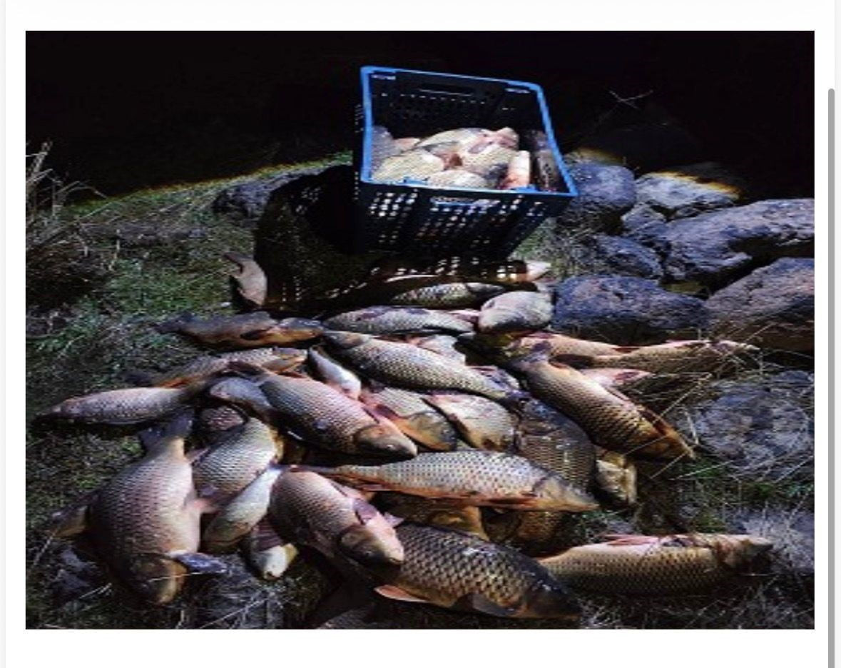 BOLU’NUN SEBEN İLÇESİNDE JANDARMA EKİPLERİ TARAFINDAN GÖLETTE YAPILAN DENETİMLERDE, KAÇAK AĞLARA...