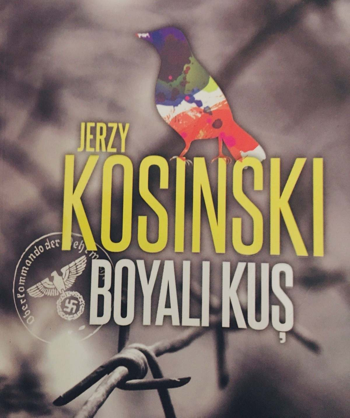 Boyalı Kuş Filmi