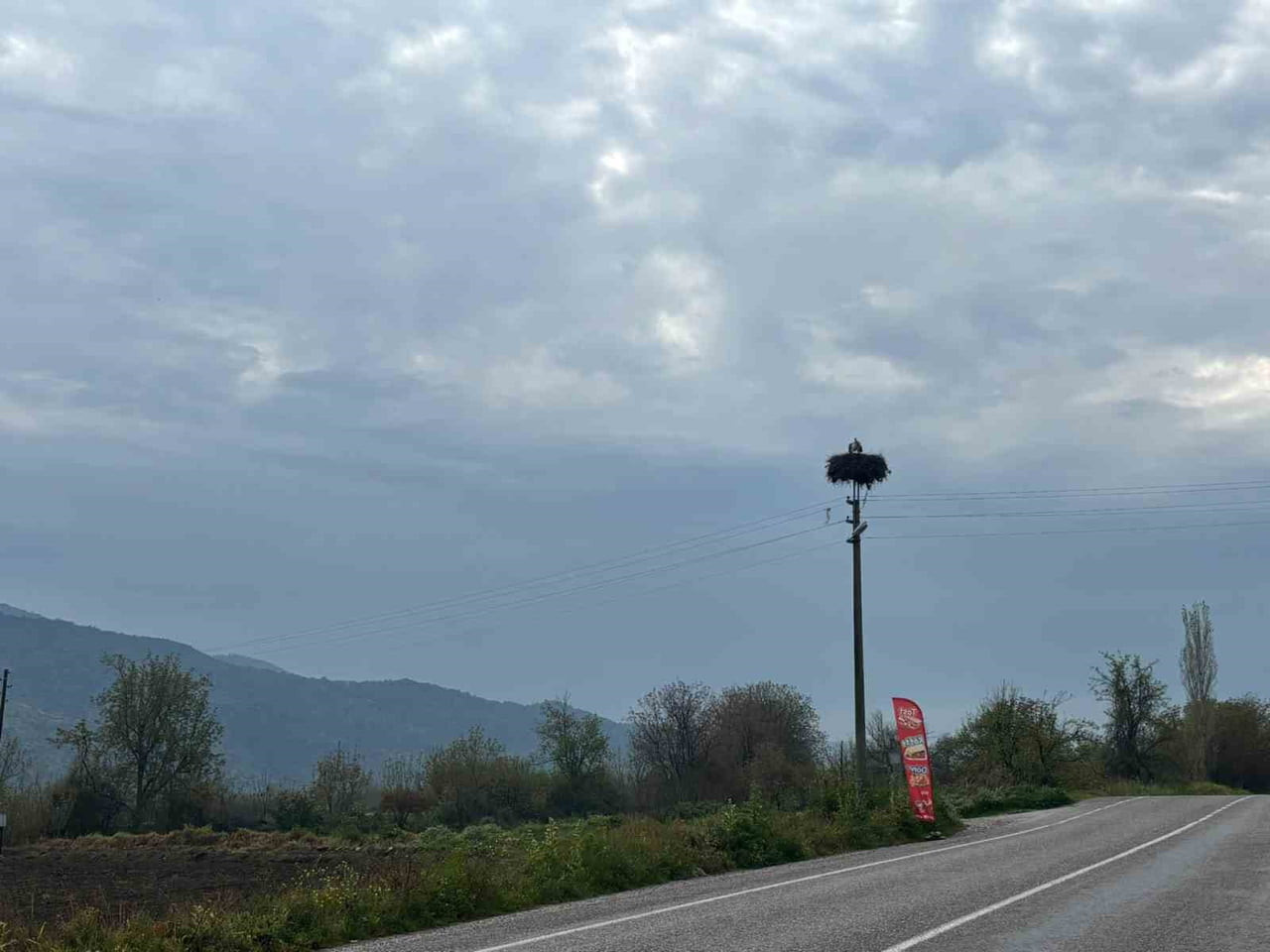 BOZDOĞAN’DA BAHARIN MÜJDECİSİ LEYLEKLER YUVALARINA DÖNDÜ