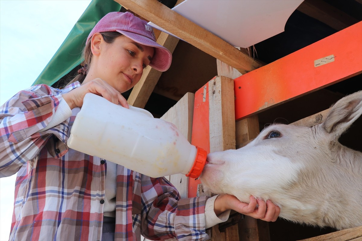 Burdur'da yaşayan 22 yaşındaki Emine Kaya babasının geçirdiği iş kazasından sonra çiftçilik yapan...