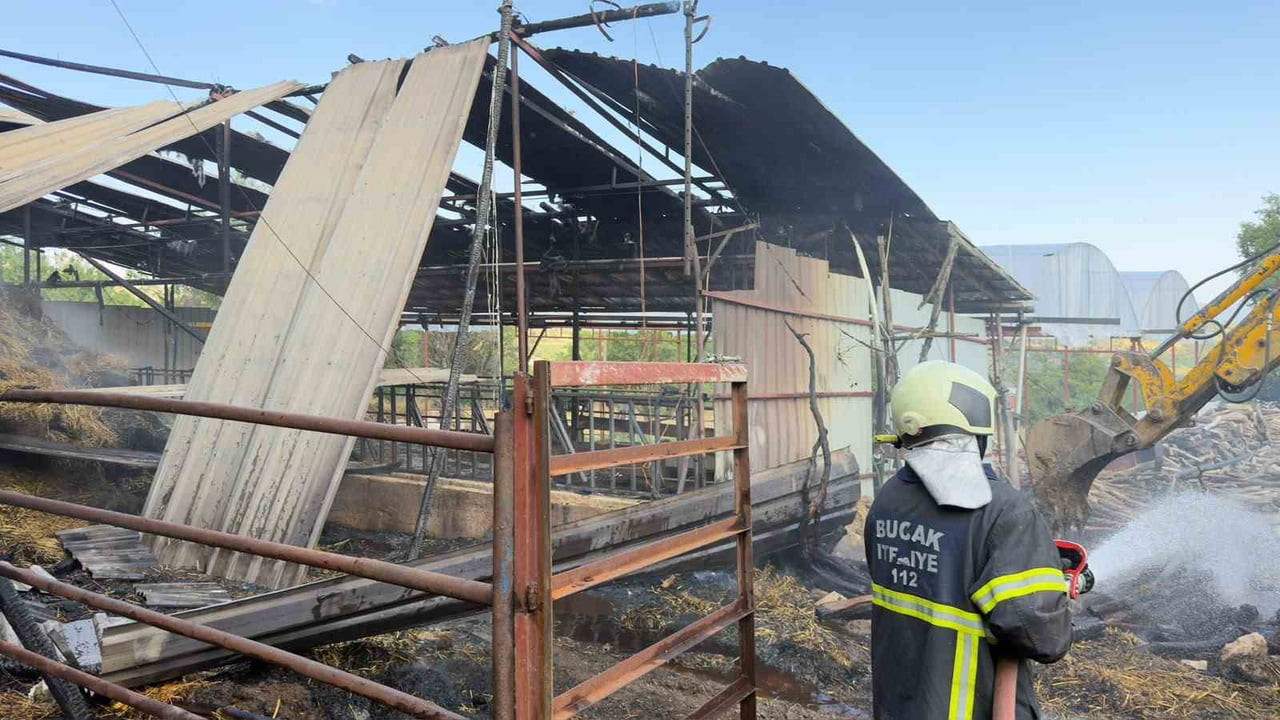 BURDUR'UN BUCAK İLÇESİNDE BİR EVİN ÖNÜNDE BULUNAN AÇIK AHIRDA ÇIKAN YANGIN PANİĞE NEDEN...